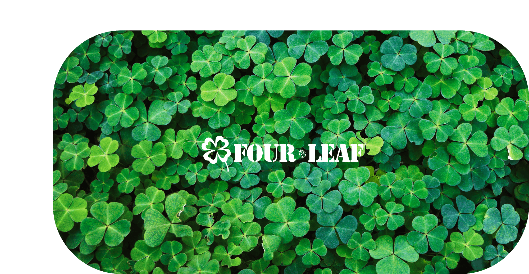 FOUR LEAF